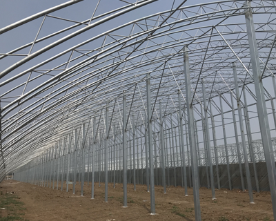 農(nóng)業(yè)大棚產(chǎn)品圖片11