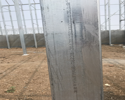 農(nóng)業(yè)大棚產(chǎn)品圖片12