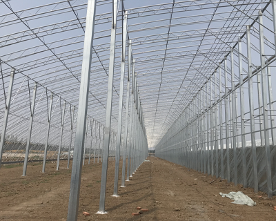 農(nóng)業(yè)大棚產(chǎn)品圖片13