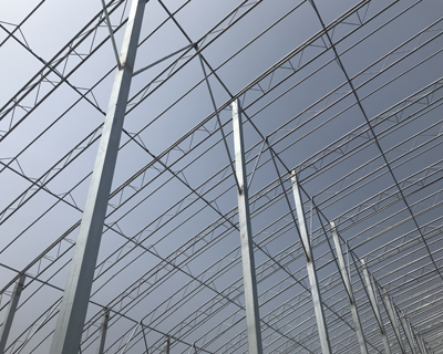 農(nóng)業(yè)大棚產(chǎn)品圖片15