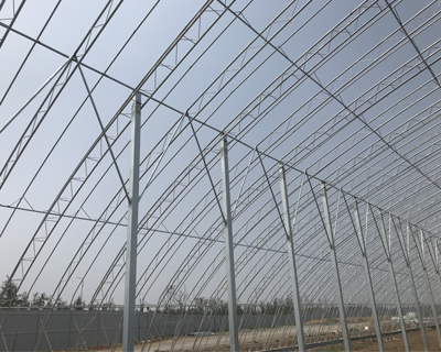 農(nóng)業(yè)大棚產(chǎn)品圖片16