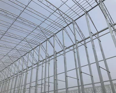 農(nóng)業(yè)大棚產(chǎn)品圖片18