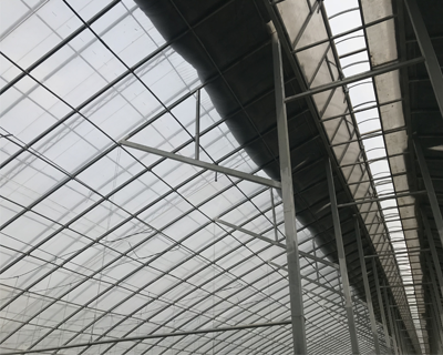 農(nóng)業(yè)大棚產(chǎn)品圖片20